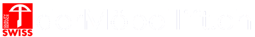 Möbellift mieten BUCHER DIE PROFIS Ihre sichere Nr. 1 Logo