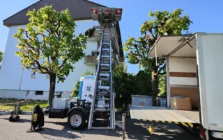 Möbellift Lotzwil Auszug