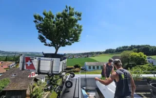 Möbellift Niederwil